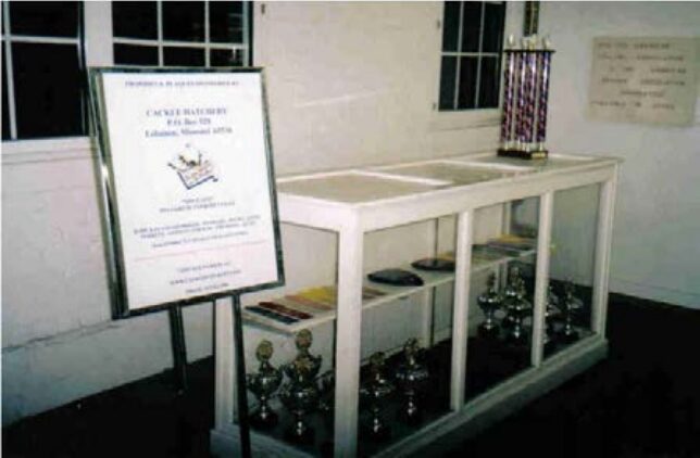 1999 Trophies