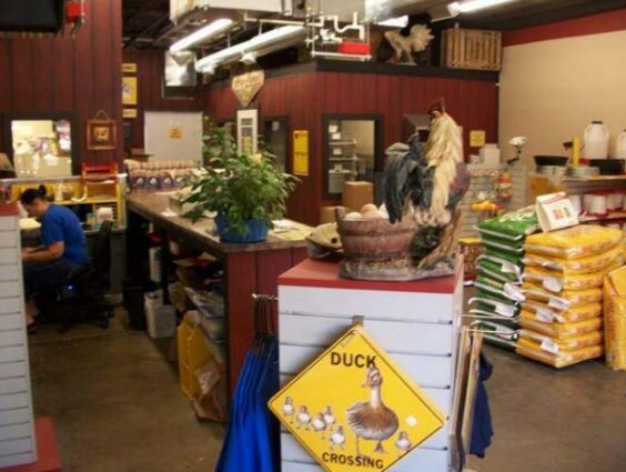 Interior Storefront 2012