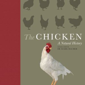 The Chicken A Natural History by General Editor