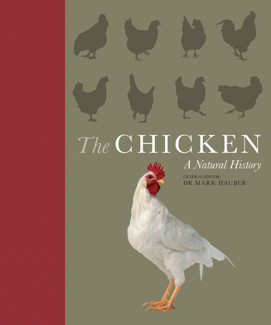 The Chicken A Natural History by General Editor