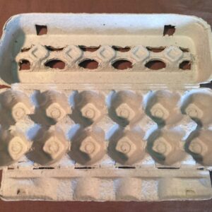 Egg Cartons – 10 count