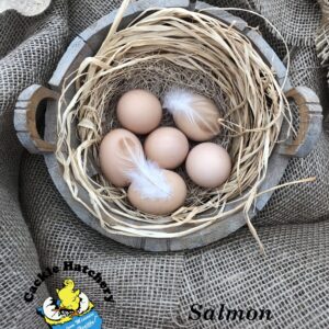 Salmon Faverolle Chicken