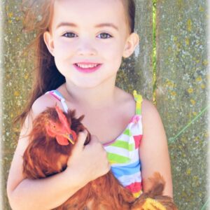 Red Cochin Bantam