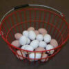 Red Egg Basket With 12 Ceramic Eggs Included