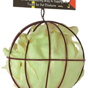 Treat Ball – “World’s First Toy for Pet Chickens!”