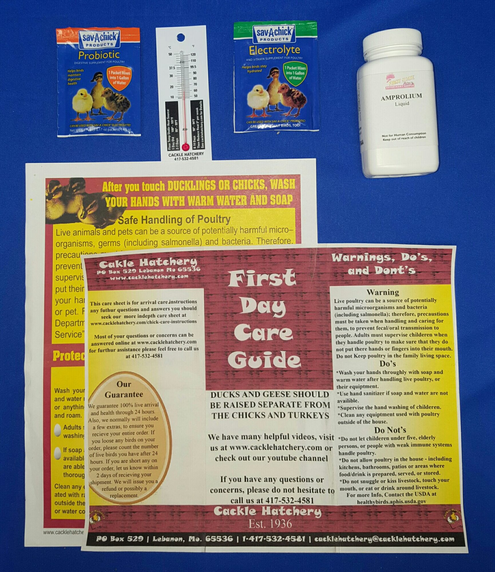 Care For Your Chicks Packet #1