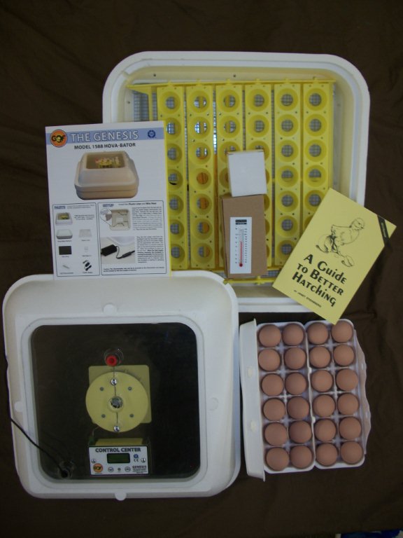 Classroom Incubator