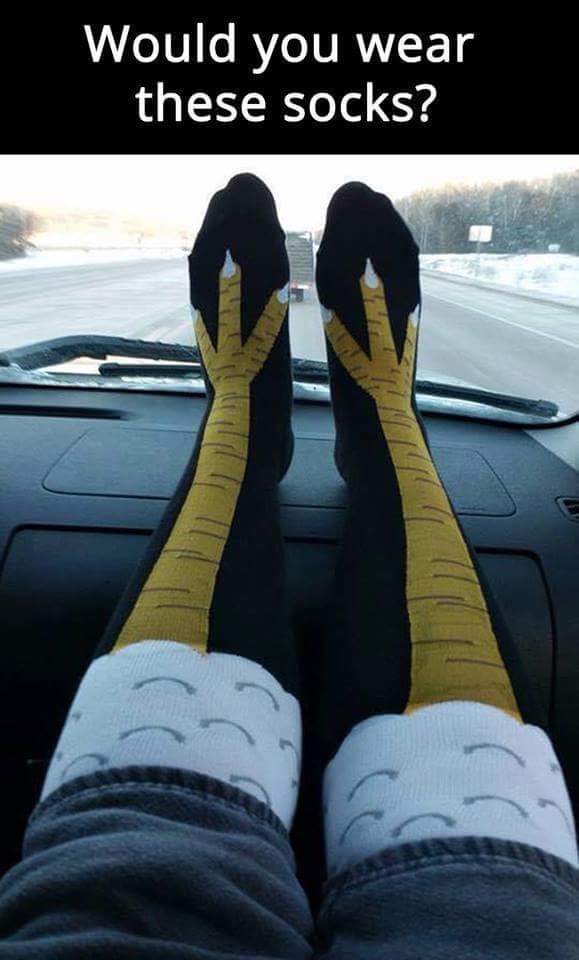 Chicken Leg Socks