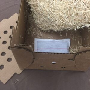 Heat Pads-12 Pack