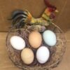 Rare Breed Hatchery Choice Hatching Eggs