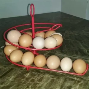 Countertop Egg Storage Rack