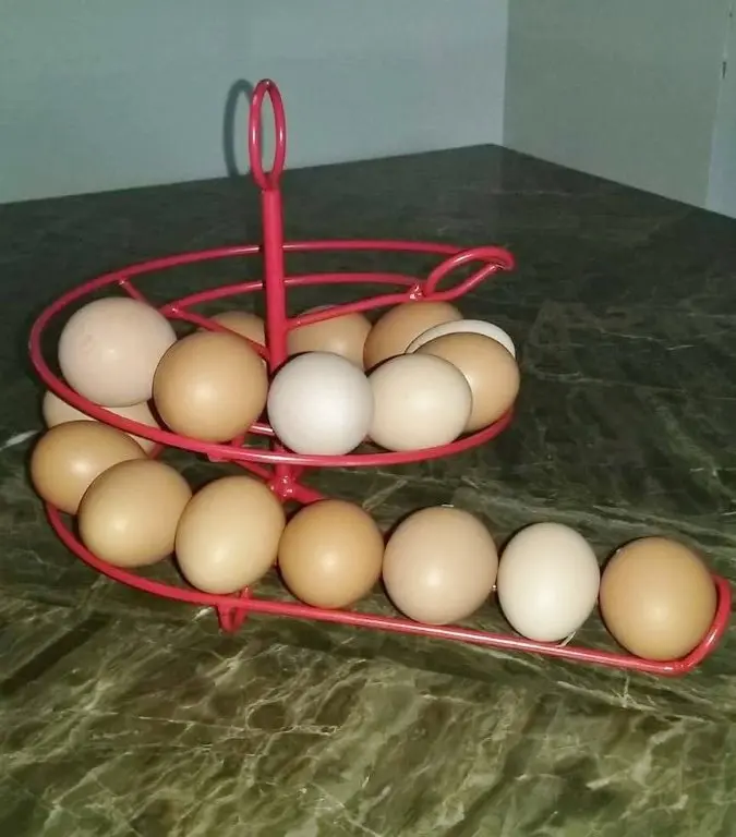 Countertop Egg Storage Rack
