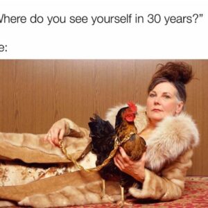 Crazy Chicken Lady Starter Kit