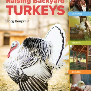 An Absolute Beginner’s Guide to Raising Backyard Turkeys