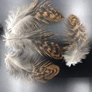 Partridge Cochin Standard Chicken