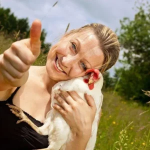 White Leghorn Started Pullet