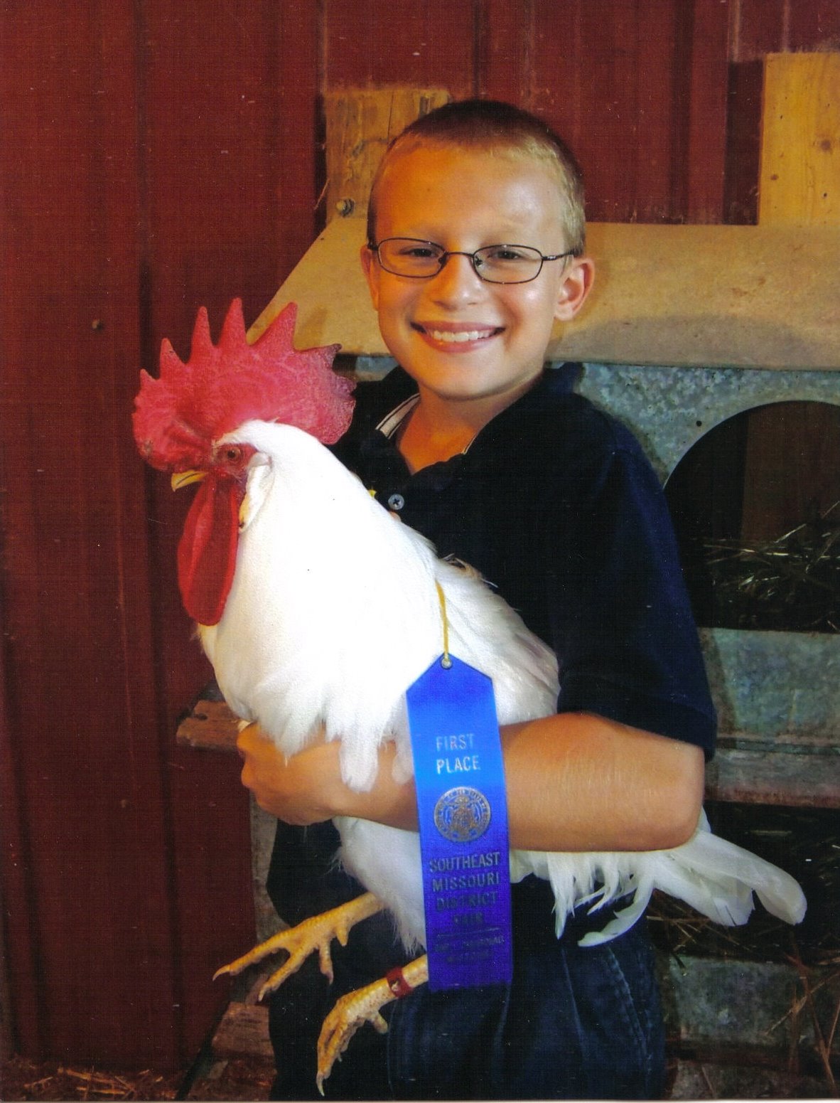 White Leghorn Chicken