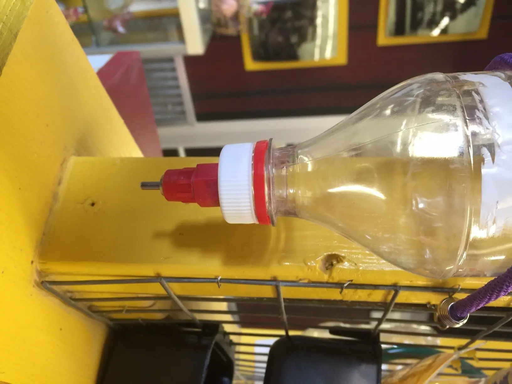 Bottle Cap Nipple Waterer