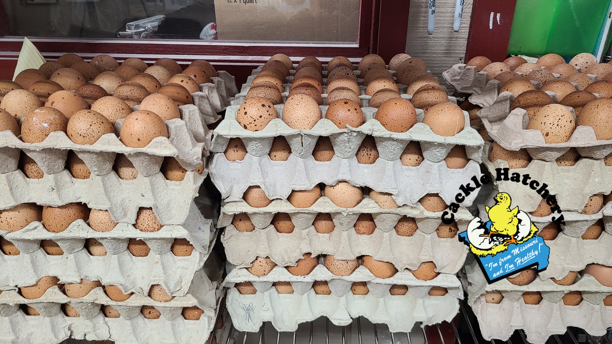 Speckled Egger™ Hatching Eggs