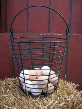 Green Egg Basket