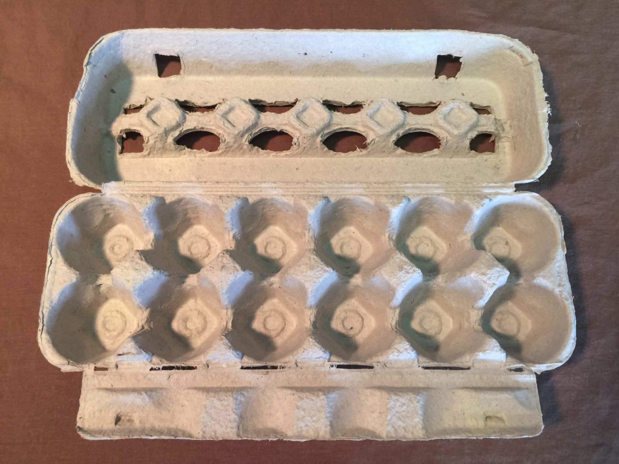 Egg Cartons – 300 count