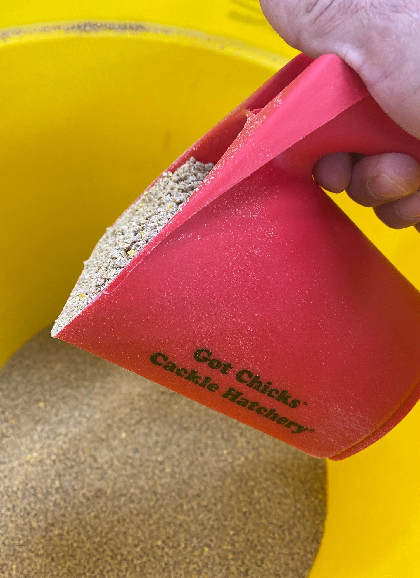 Cackle Hatchery®’s Red Plastic Feed Scoop