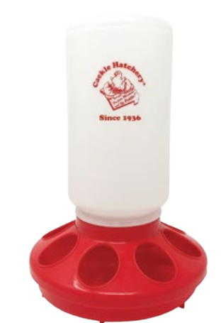 Cackle’s 1 Quart Feeder