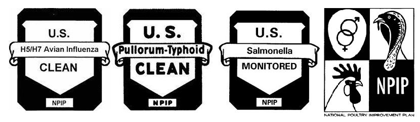 NPIP Breeder Farms Badges - Avian Influenza Clean, Pullorum-Typhoid Clean, Salmonella Monitored