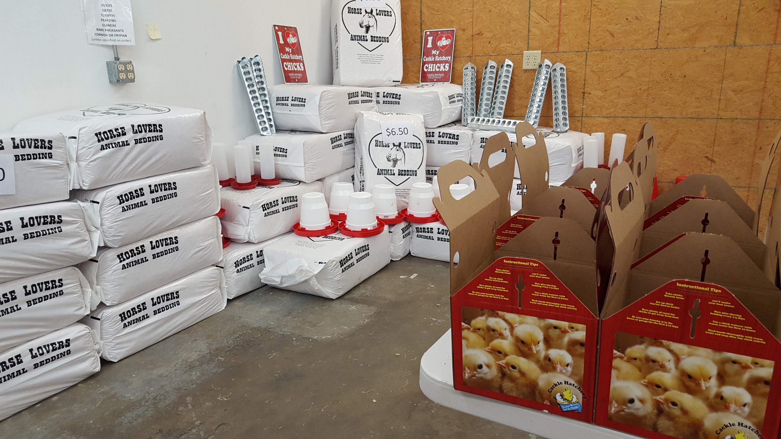 Store Display 11