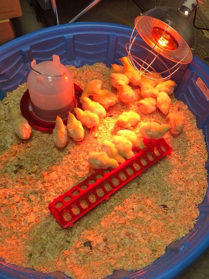 Store Display 13