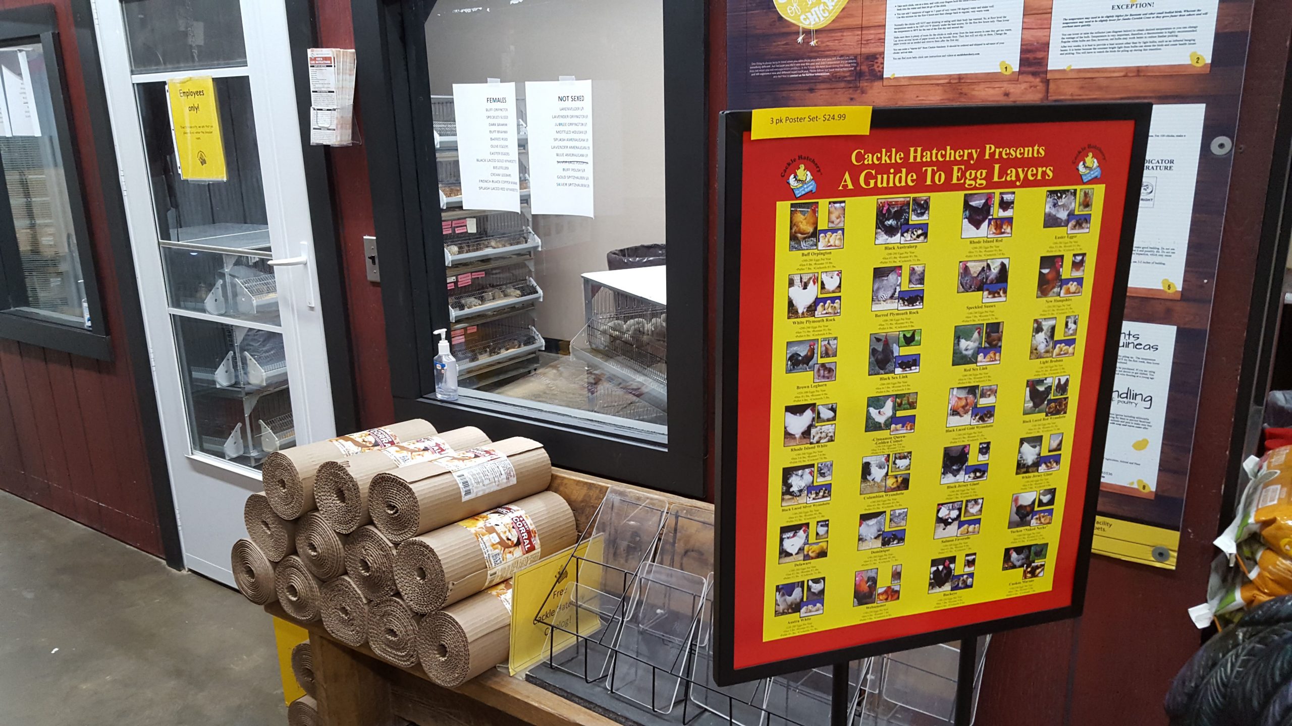 Store Display 25