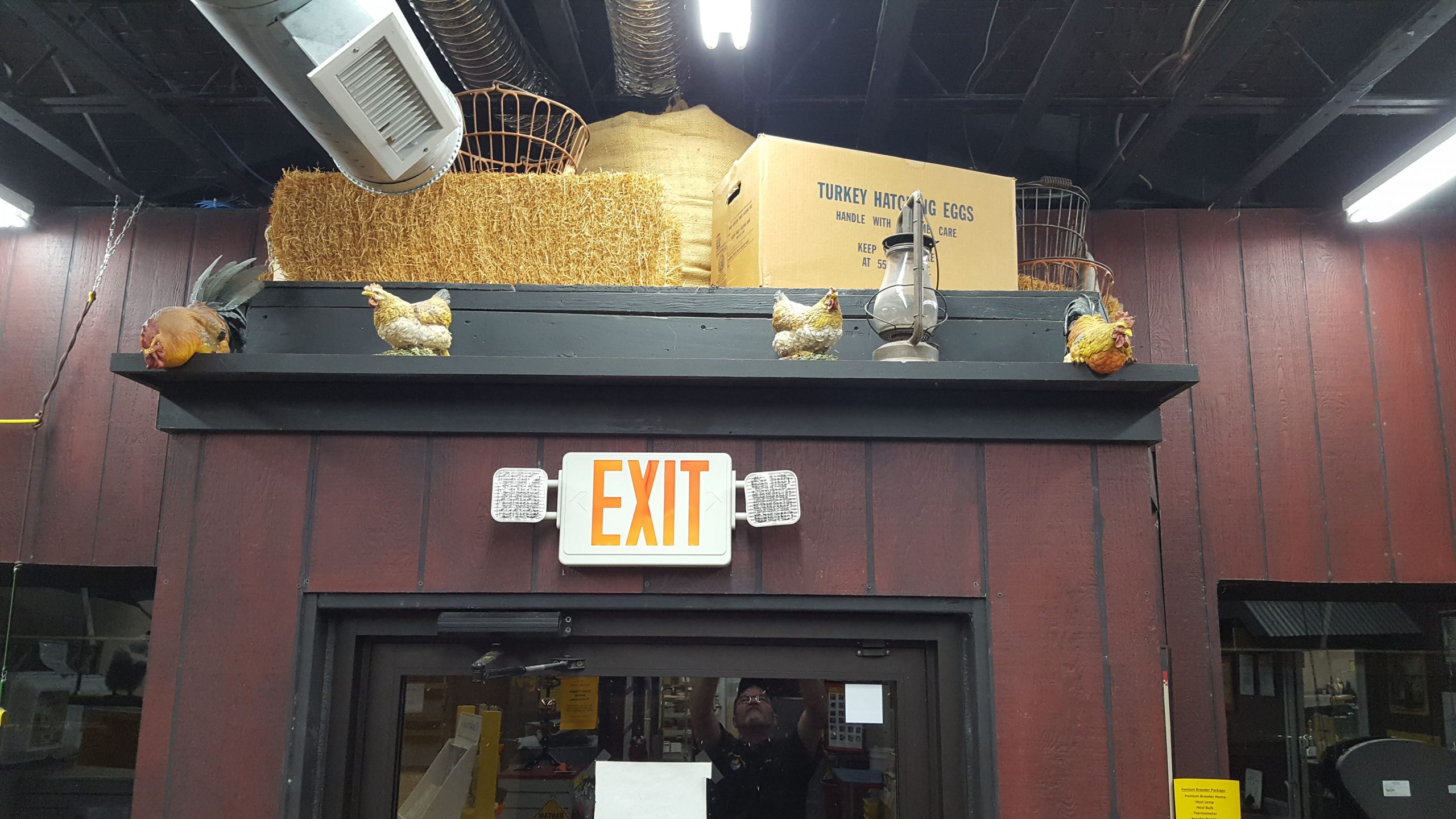 Store Display 36