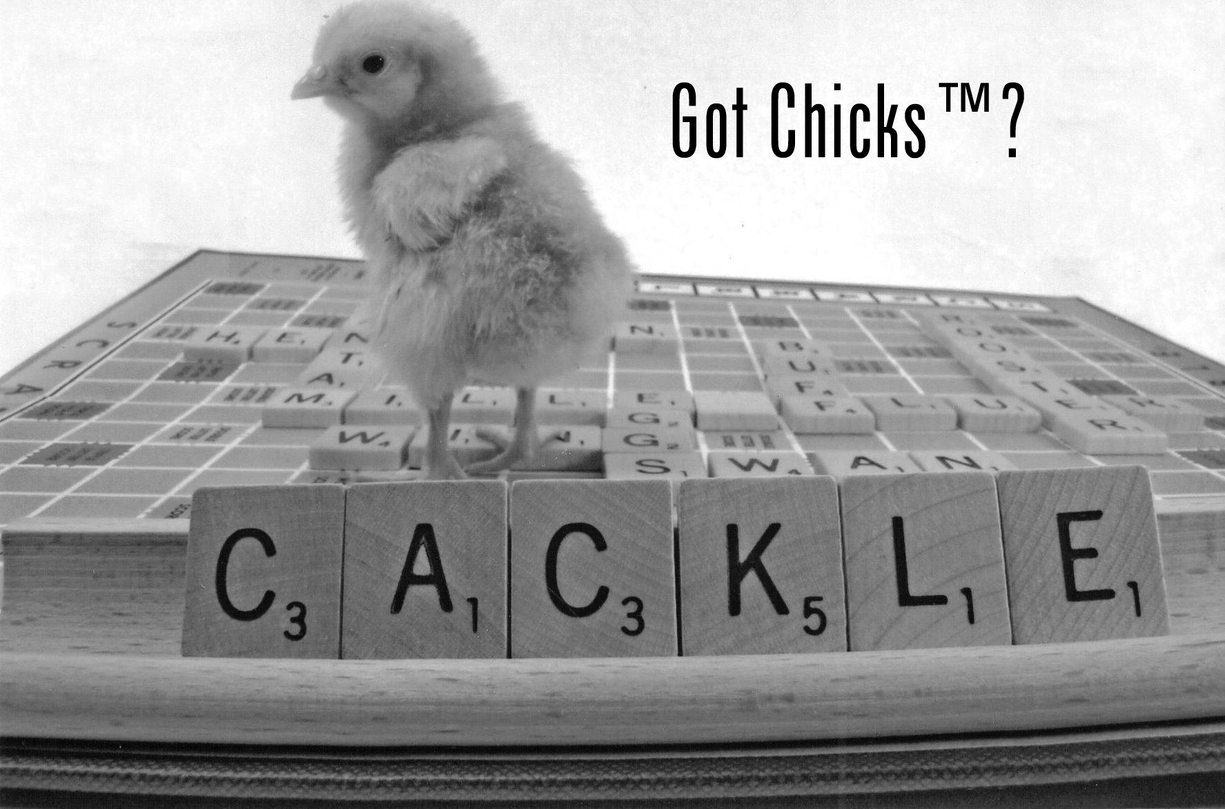 Got Chicks TM Scrabble Chick
