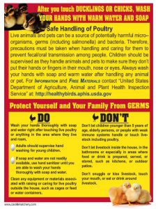 Safe Handling of Poultry
